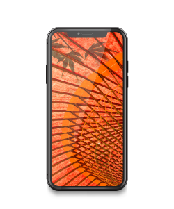 iPhone的应用开发